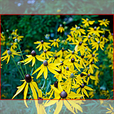 landscape-mode-for-ipad